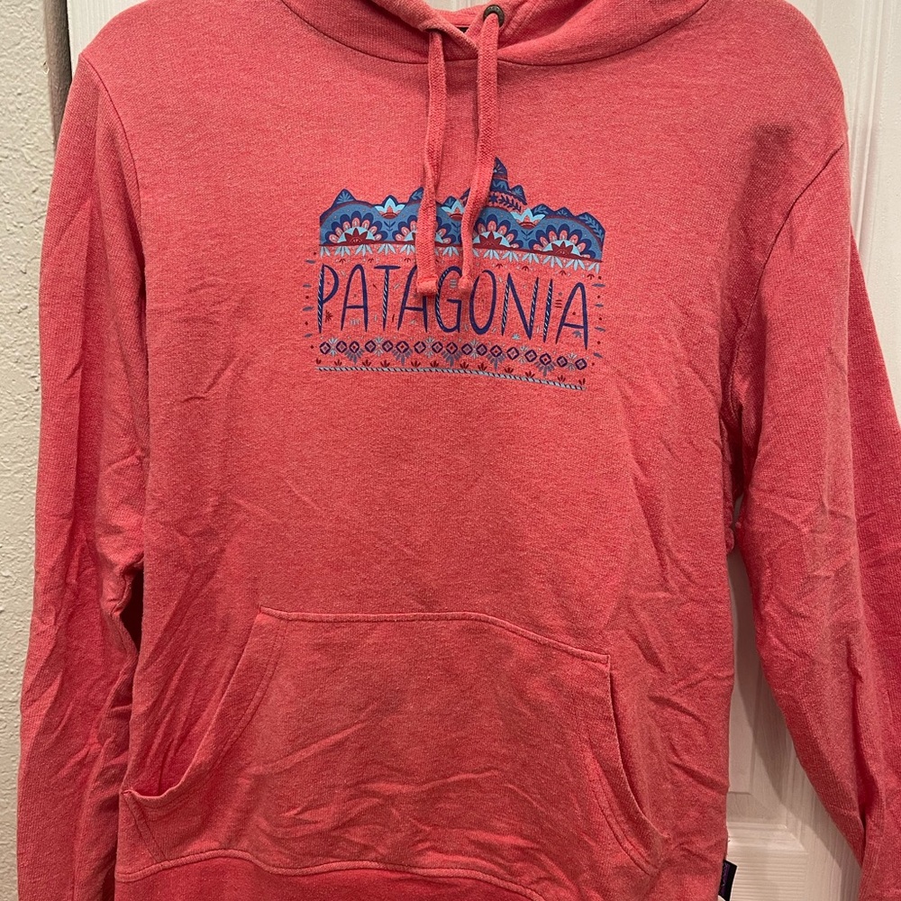 Patagonia sweatshirt